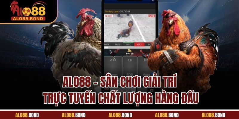 Alo88 - Sân chơi giải trí trực tuyến chất lượng hàng đầu