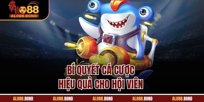 Bí quyết cá cược hiệu quả cho hội viên 