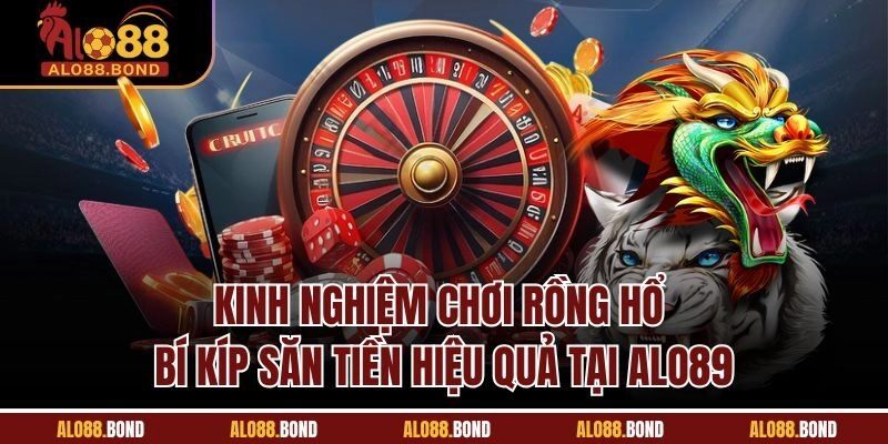 Thông tin quan trọng cho người mới chơi Rồng Hổ bạn cần nắm rõ