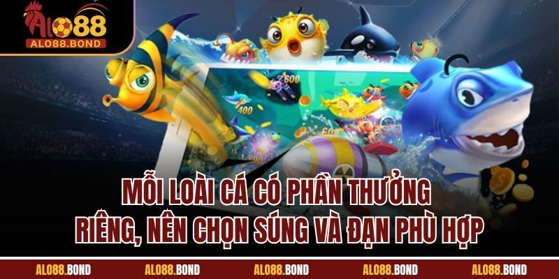 Mỗi loài cá có phần thưởng riêng, nên chọn súng và đạn phù hợp