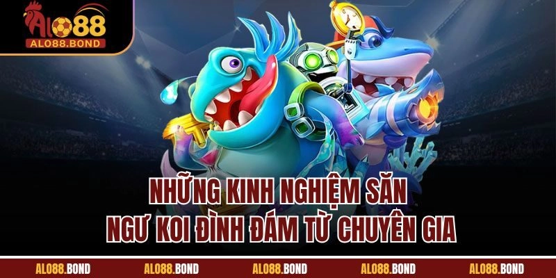 Những kinh nghiệm săn ngư koi đình đám từ chuyên gia