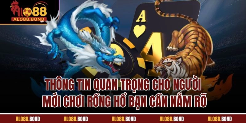 Thông tin quan trọng cho người mới chơi Rồng Hổ bạn cần nắm rõ